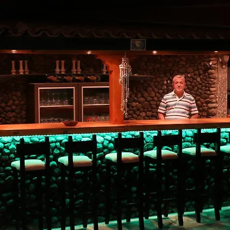 Hotel Arya